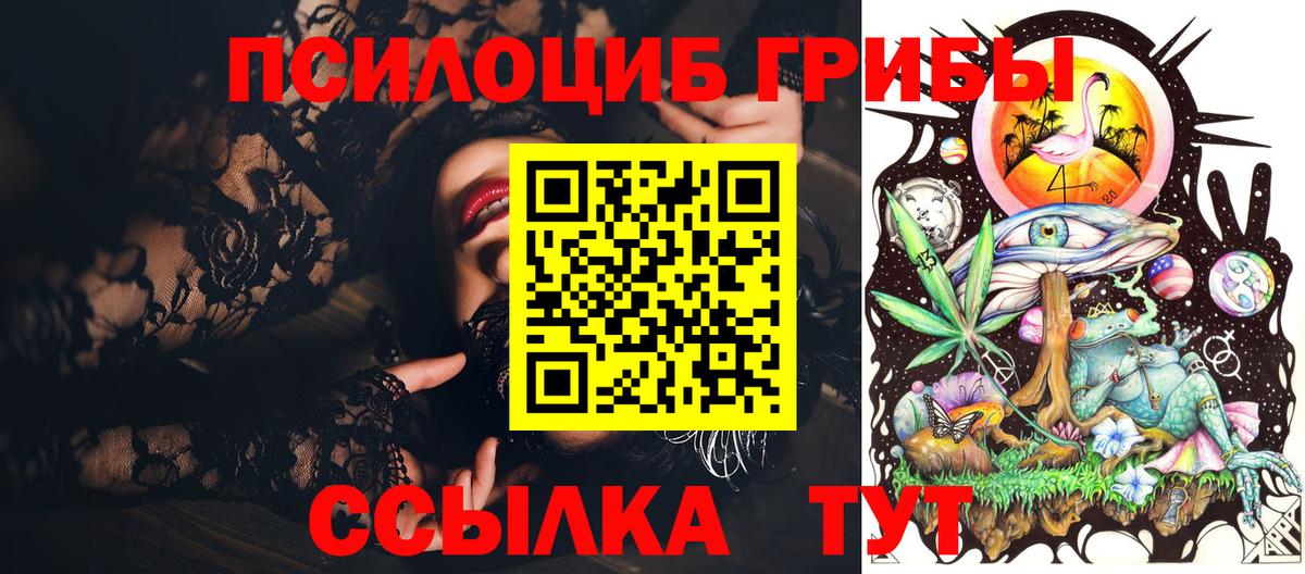 Кизилюрт  Галлюциногенные грибы Cubensis  Вход с VPN 
